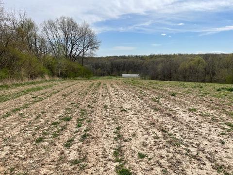 00 Timber Rd, Kewanee, IL 61443 photo 5