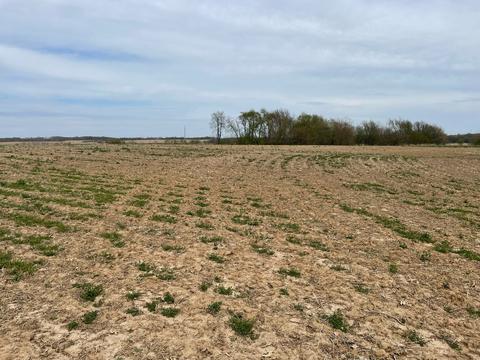 00 Timber Rd, Kewanee, IL 61443 photo 3