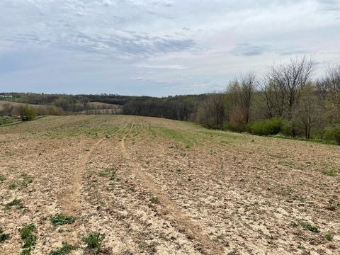 00 Timber Rd, Kewanee, IL 61443 photo 14