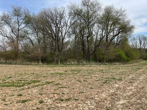 00 Timber Rd, Kewanee, IL 61443 photo 4