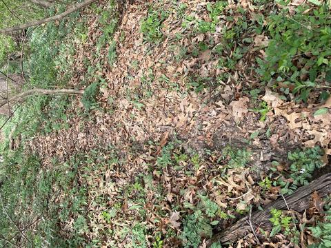 00 Timber Rd, Kewanee, IL 61443 photo 7