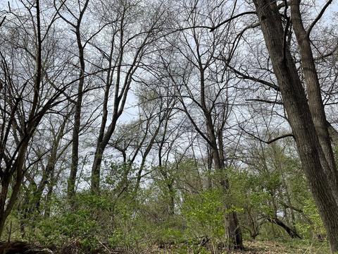 00 Timber Rd, Kewanee, IL 61443 photo 9