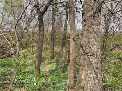 00 Timber Rd, Kewanee, IL 61443 photo 6