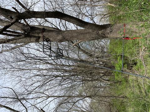 00 Timber Rd, Kewanee, IL 61443 photo 11