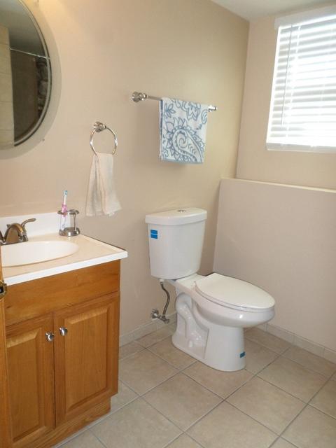 1605 Wildflower Dr, Plainfield, IL 60586 photo 11