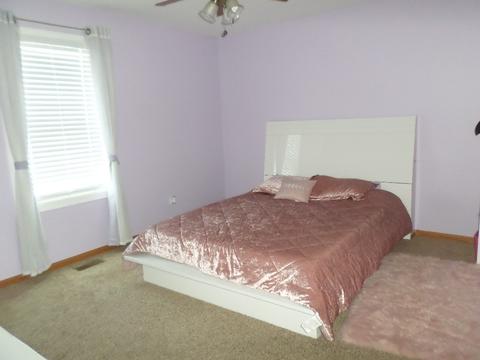 1605 Wildflower Dr, Plainfield, IL 60586 photo 8