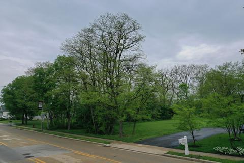 19525 Wolf Rd, Mokena, IL 60448 photo 9