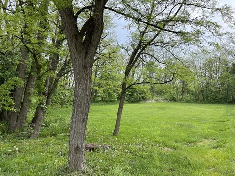 19525 Wolf Rd, Mokena, IL 60448 photo 8