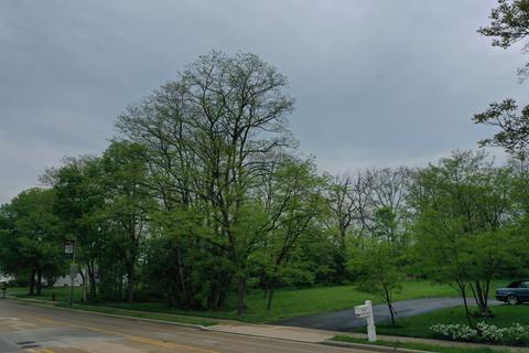 19525 Wolf Rd, Mokena, IL 60448 photo 32