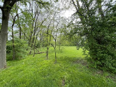 19525 Wolf Rd, Mokena, IL 60448 photo 6