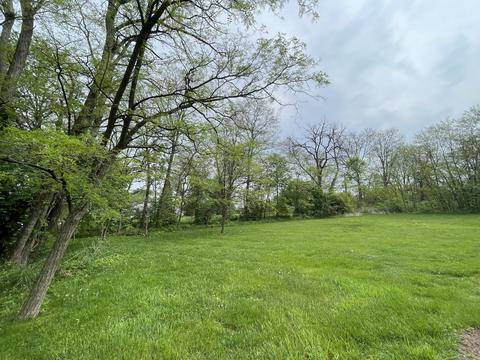 19525 Wolf Rd, Mokena, IL 60448 photo 3