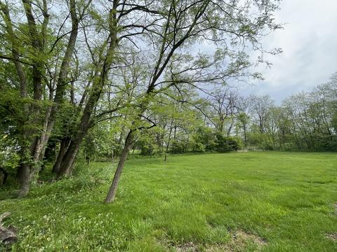 19525 Wolf Rd, Mokena, IL 60448 photo 4
