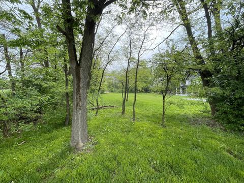 19525 Wolf Rd, Mokena, IL 60448 photo 5