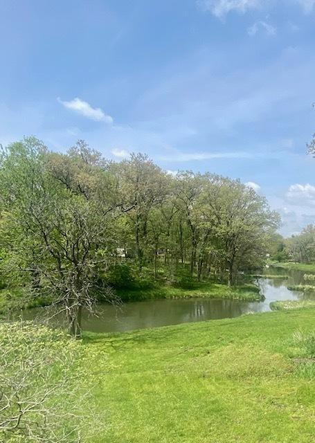 9145 Woodhaven, Sublette, IL 61367
