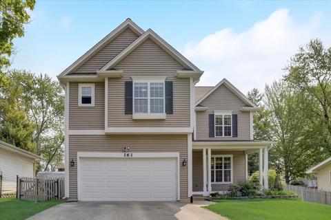 161 Rose Tree Ln, Lindenhurst, IL 60046