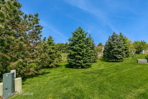 2816 Edgewater Dr, Elgin, IL 60124 photo 16