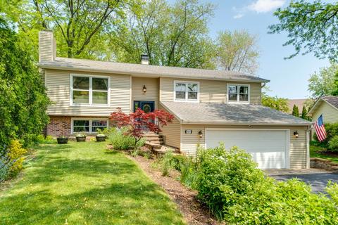 33651 N Winnebago Ct, Grayslake, IL 60030