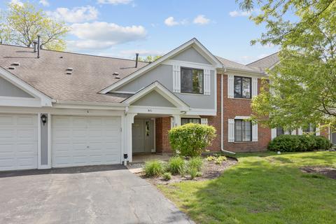 971 Yosemite Trl #C, Roselle, IL 60172