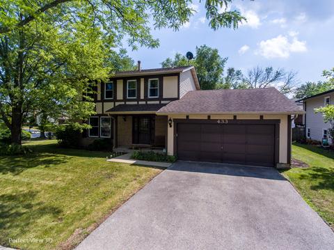 433 Buckthorn Ter, Buffalo Grove, IL 60089