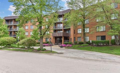 263 S Clubhouse Dr #320, Palatine, IL 60074