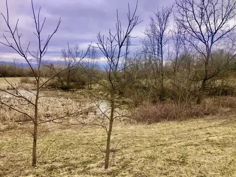 19529 Collins Rd, Marengo, IL 60152