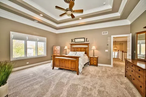 13457 Skyline Dr, Plainfield, IL 60585 photo 57