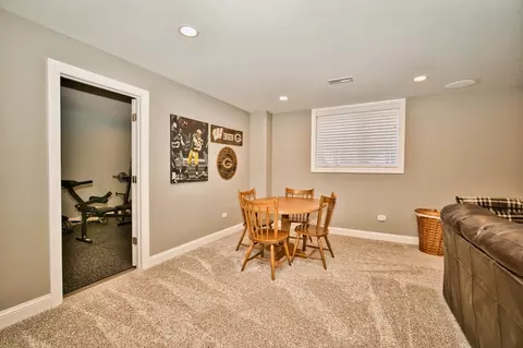 13457 Skyline Dr, Plainfield, IL 60585 photo 67