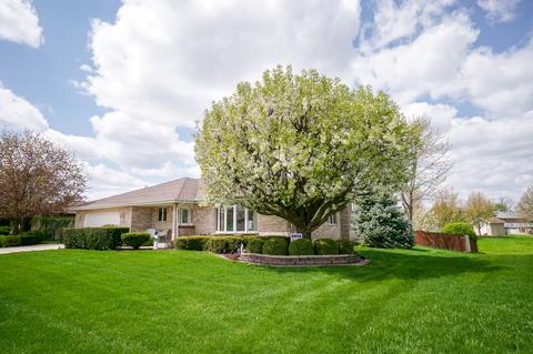 9212 Elm Ave, Mokena, IL 60448 photo 2