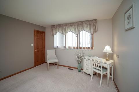 9212 Elm Ave, Mokena, IL 60448 photo 15