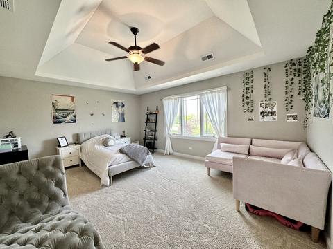 12232 Lajunta Ct, Mokena, IL 60448 photo 30
