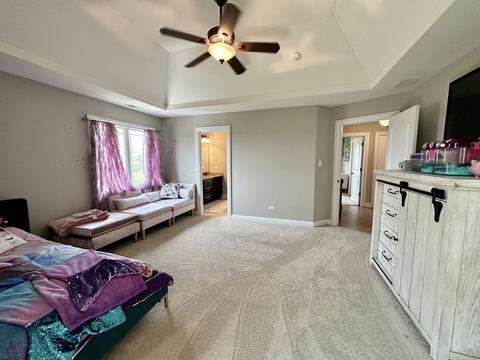 12232 Lajunta Ct, Mokena, IL 60448 photo 31