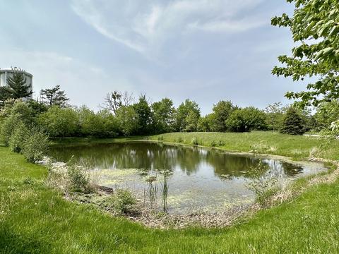 12232 Lajunta Ct, Mokena, IL 60448 photo 43