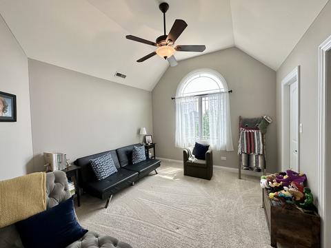 12232 Lajunta Ct, Mokena, IL 60448 photo 28