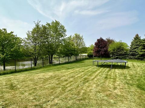 12232 Lajunta Ct, Mokena, IL 60448 photo 42