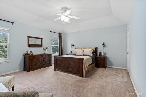 3416 Rosecroft Ln, Naperville, IL 60564 photo 18
