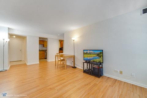 40 E 9th St #405, Chicago, IL 60605 photo 3