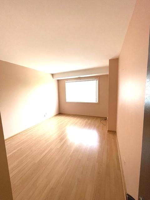 1702 Mill St #506, Des Plaines, IL 60016 photo 5