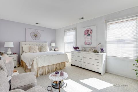 1769 Sessions #H, Hoffman Estates, IL 60169 photo 18