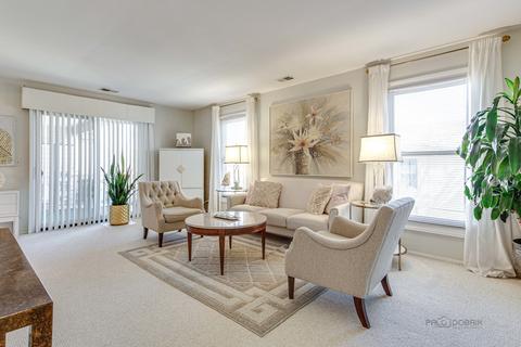 1769 Sessions #H, Hoffman Estates, IL 60169 photo 7