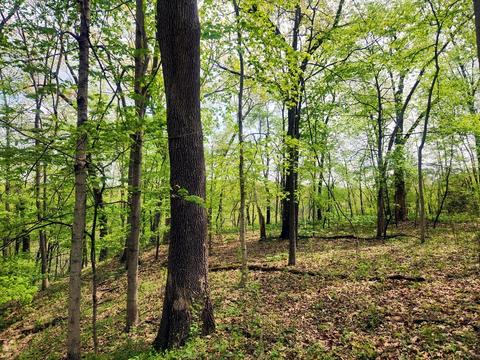1659 Jasper Court, Varna, IL 61375