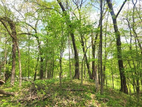 1660 Jasper Court, Varna, IL 61375