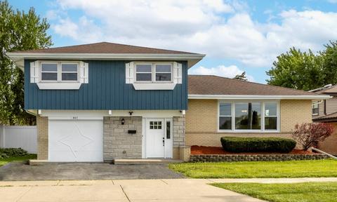 807 E 170th St, South Holland, IL 60473