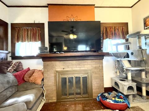 308 E Van Buren St, Ohio, IL 61349 photo 8