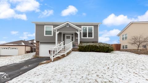 20842 S Hickory Creek Pl, Frankfort, IL 60423