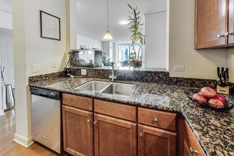 450 E Waterside Dr #2411, Chicago, IL 60601 photo 16