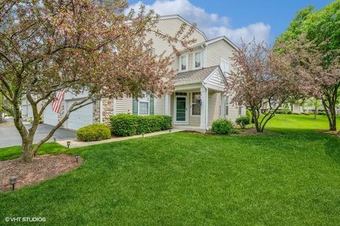 205 Terra Springs Cir, Volo, IL 60020
