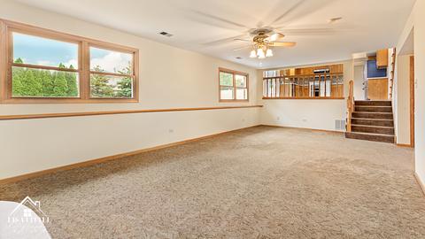 10121 Lancaster Dr, Mokena, IL 60448 photo 17
