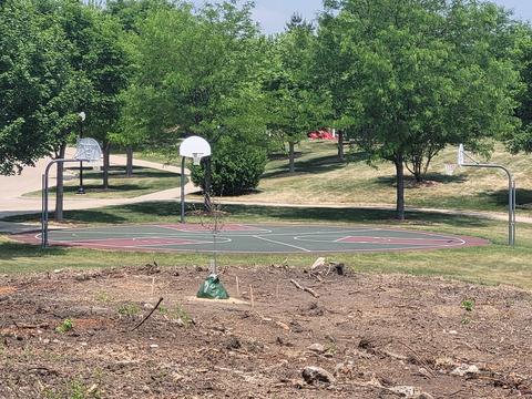 3500 Persimmon Dr, Algonquin, IL 60102 photo 54