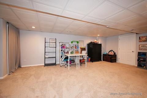 1163 Danforth Dr, Batavia, IL 60510 photo 36