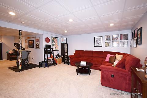 1163 Danforth Dr, Batavia, IL 60510 photo 38
